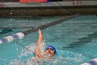 Swimming & Diving vs Babson  Swimming & Diving vs Babson College. - Photo by Keith Nordstrom : Wheaton, Swimming